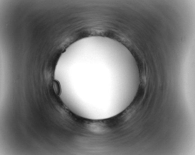 X0000086060468200704091231