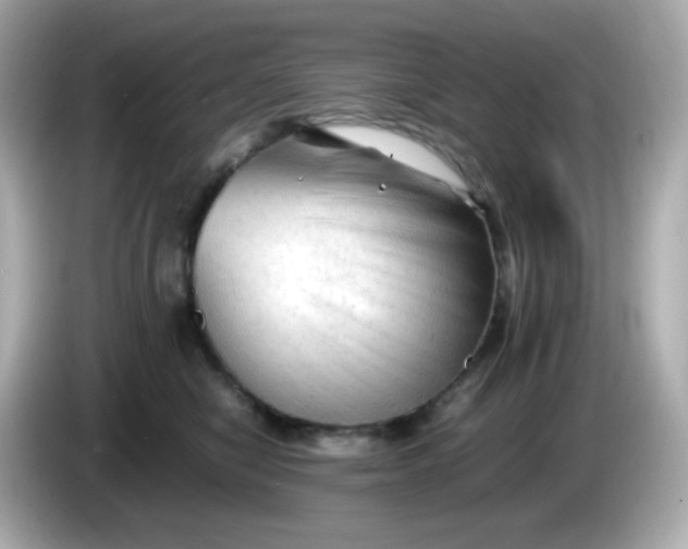 X0000086060470200704091231