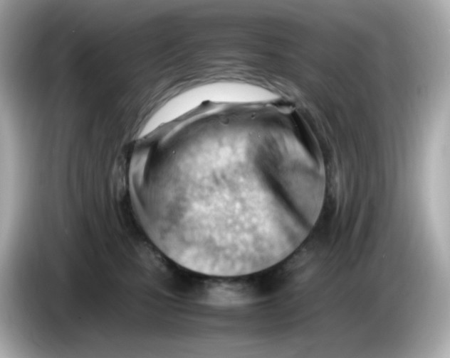 X0000086060471200704091231