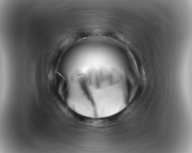 X0000086060472200704091231