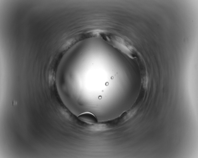 X0000086060476200704091231