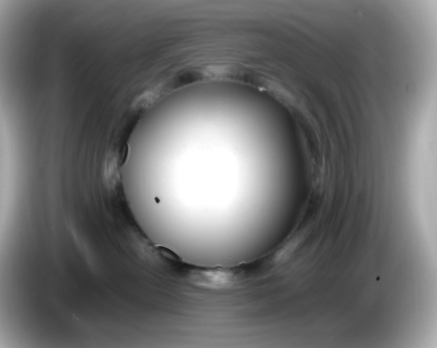 X0000086060478200704091231