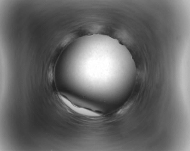 X0000086060479200704091231