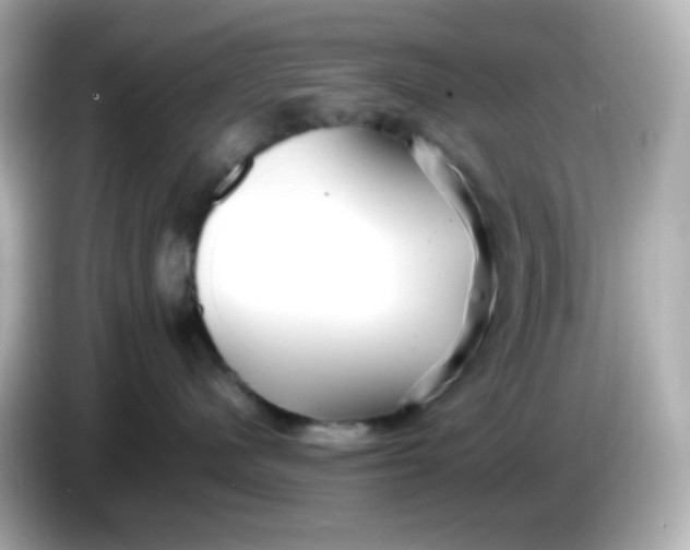 X0000086060480200704091231