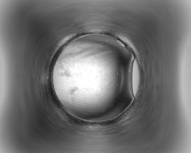 X0000086060483200704091231