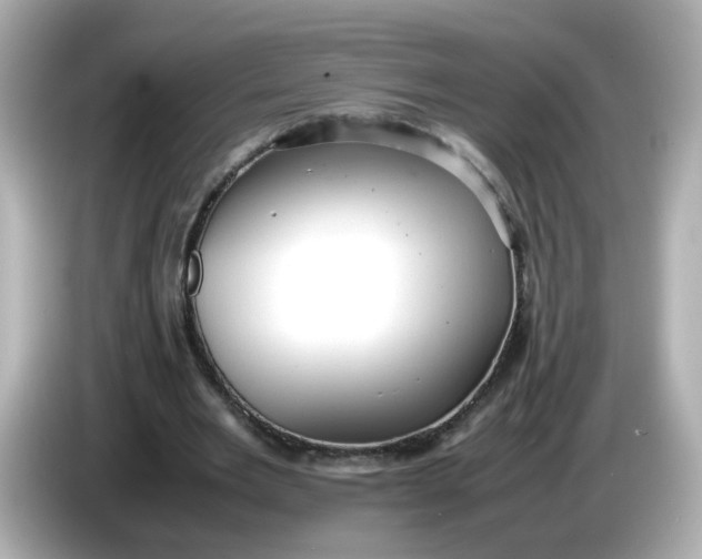 X0000086060485200704091231