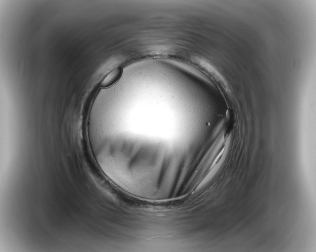 X0000086060486200704091231