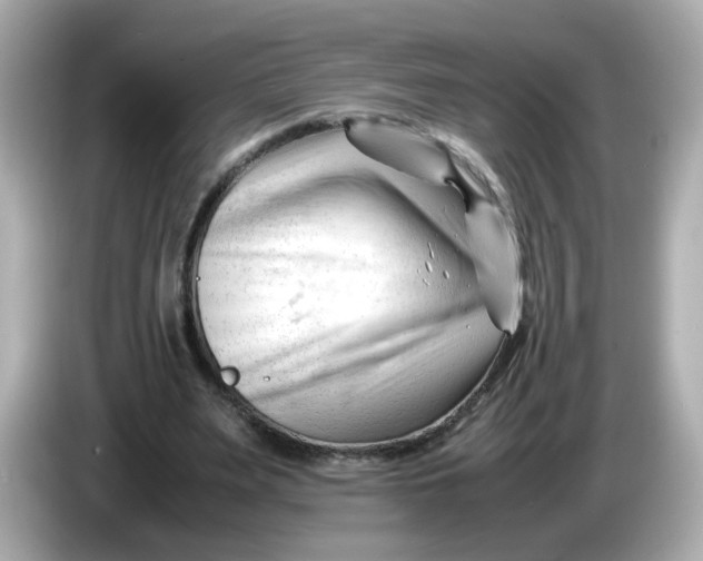 X0000086060487200704091231