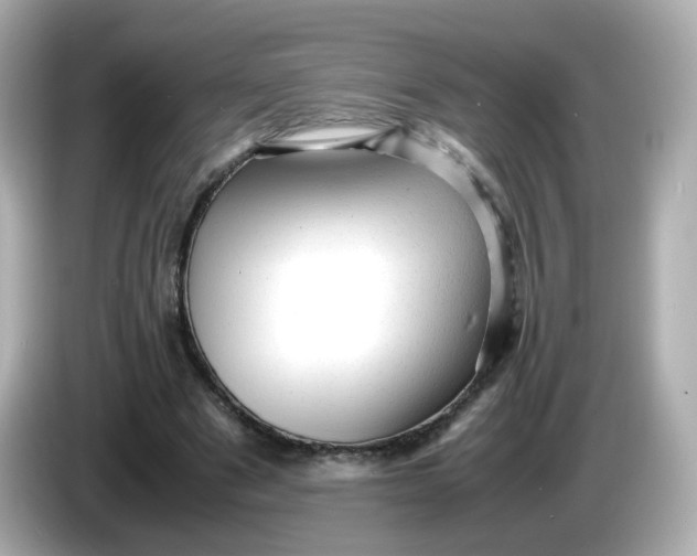 X0000086060489200704091231