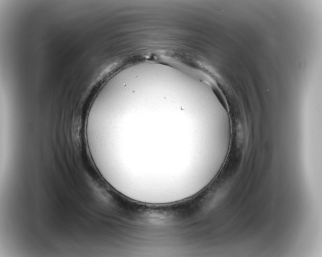 X0000086060490200704091231