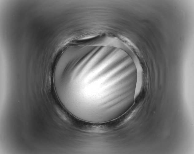 X0000086060493200704091231