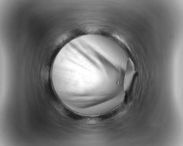 X0000086060495200704091231