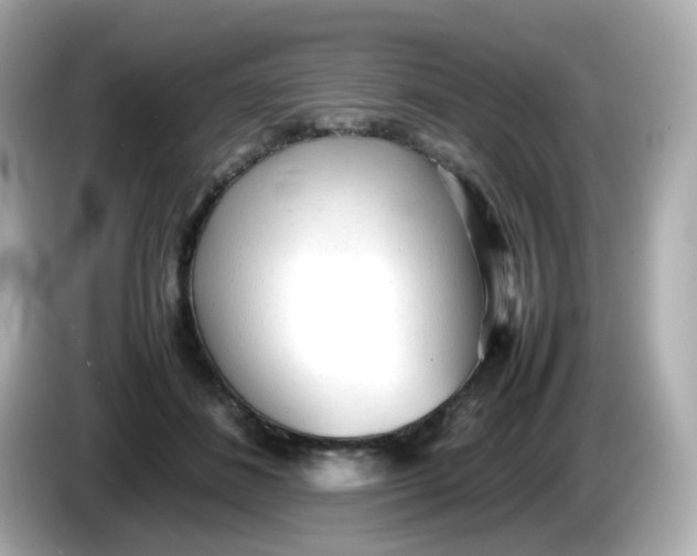 X0000086060508200704091230