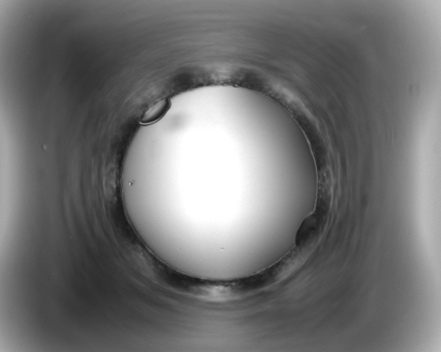 X0000086060509200704091230