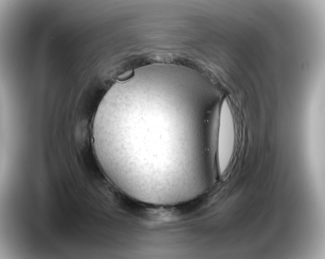 X0000086060511200704091230