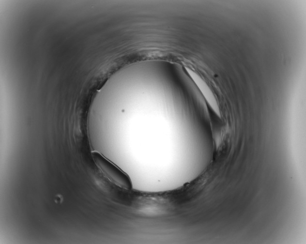 X0000086060512200704091230