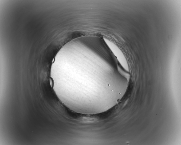 X0000086060515200704091230