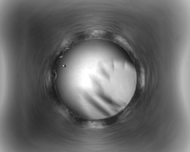 X0000086060520200704091230