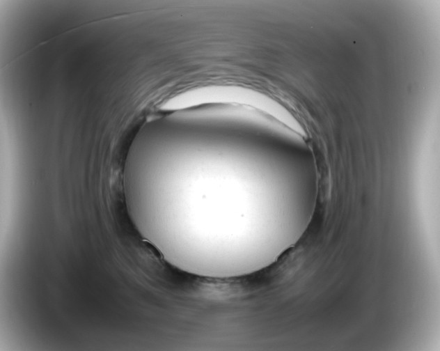 X0000086060521200704091230