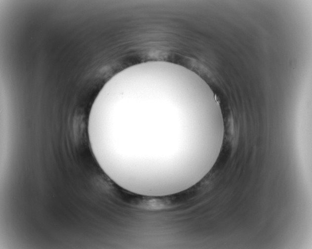 X0000086060522200704091230