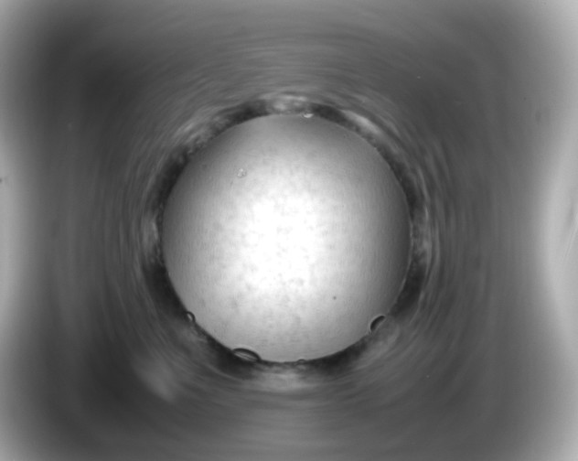 X0000086060523200704091230