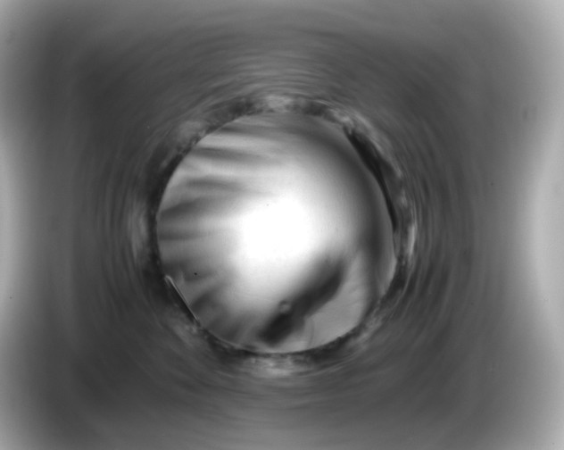 X0000086060524200704091230