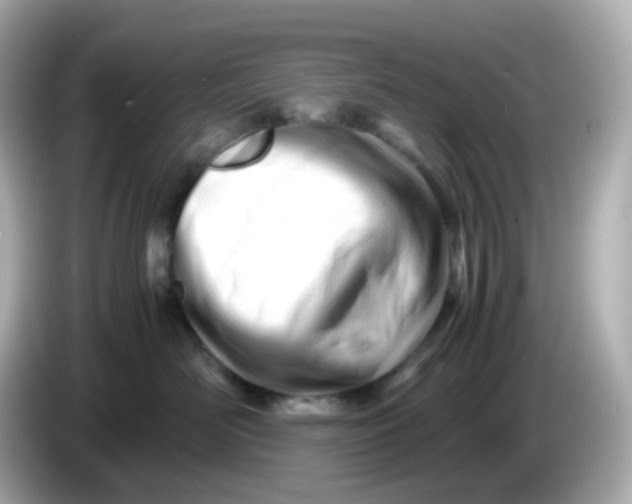 X0000086060526200704091230