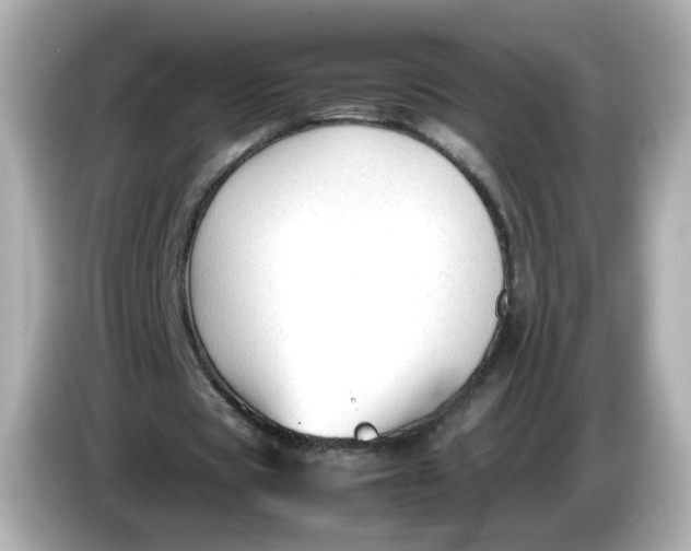 X0000086060529200704091230