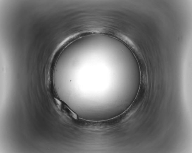 X0000086060532200704091230