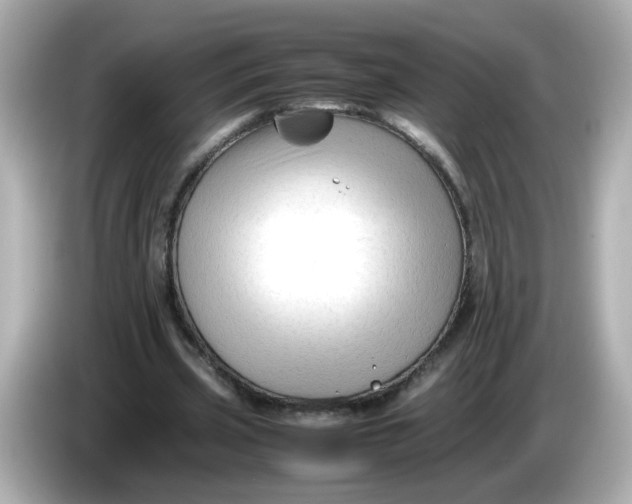 X0000086060533200704091230