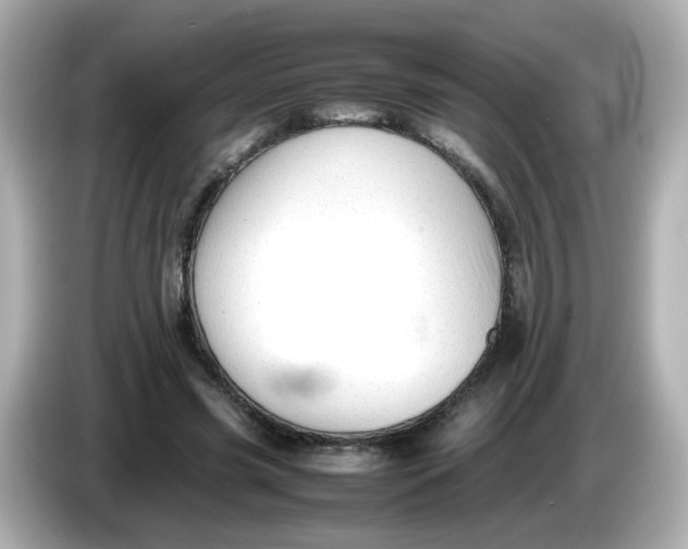 X0000086060541200704091230