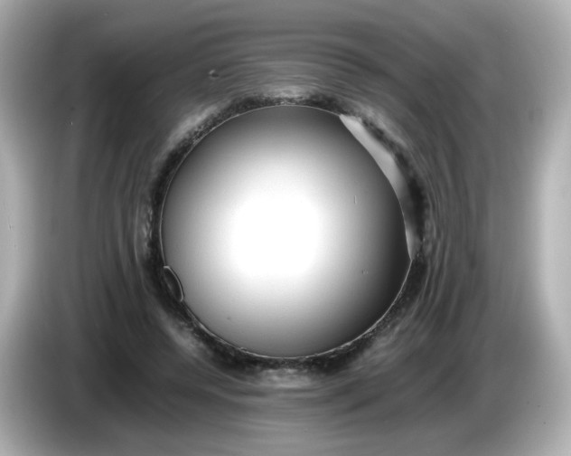 X0000086060544200704091230