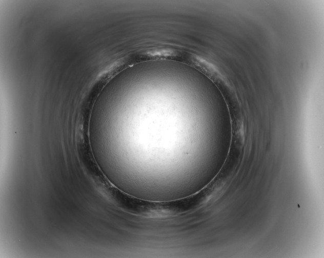 X0000086060547200704091230