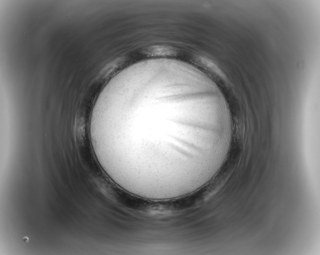 X0000086060549200704091230