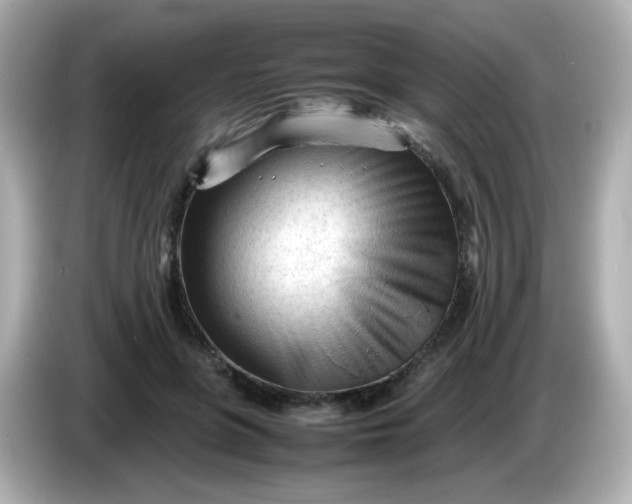 X0000086060551200704091230