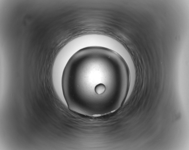 X0000086060556200704091230