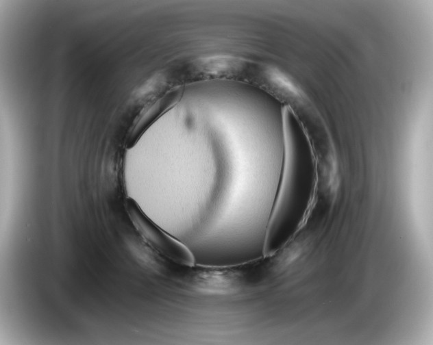 X0000086060558200704091230