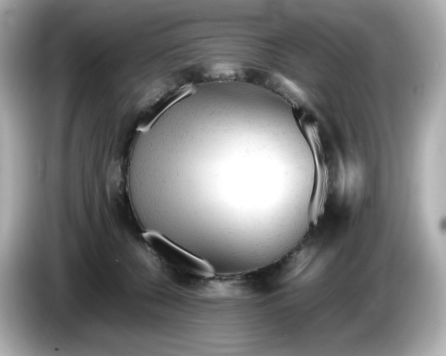 X0000086060560200704091230