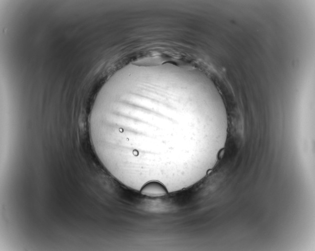 X0000086060561200704091230