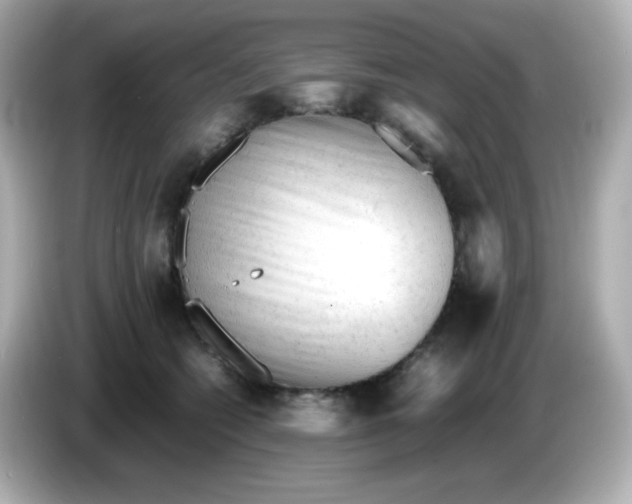 X0000086060562200704091230