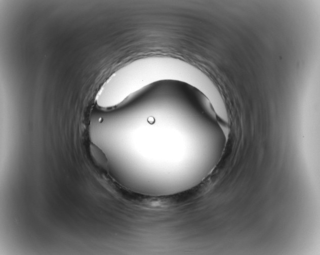 X0000086060564200704091230