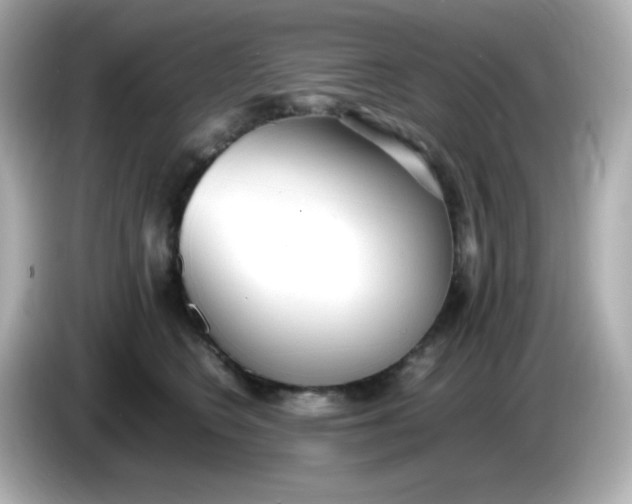 X0000086060566200704091230