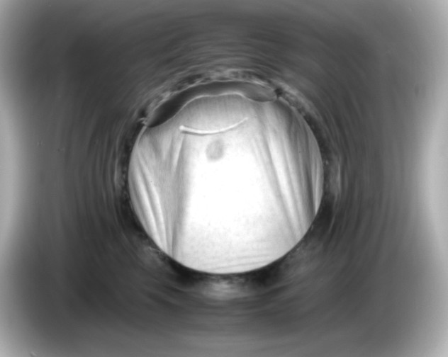 X0000086060569200704091230