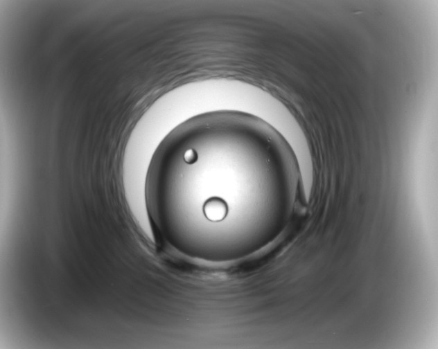 X0000086060572200704091230