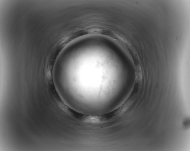 X0000086060573200704091230