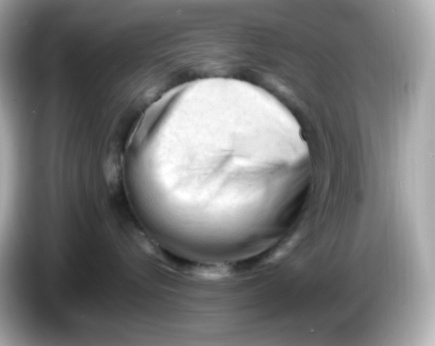 X0000086060576200704091230