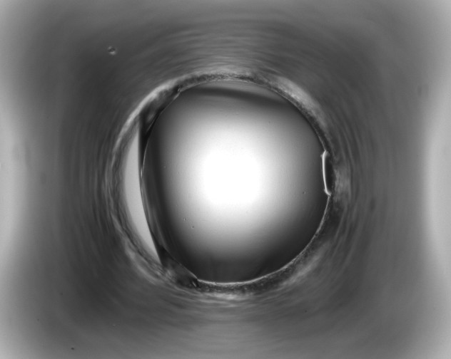 X0000086060580200704091230