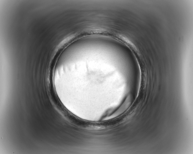 X0000086060582200704091230