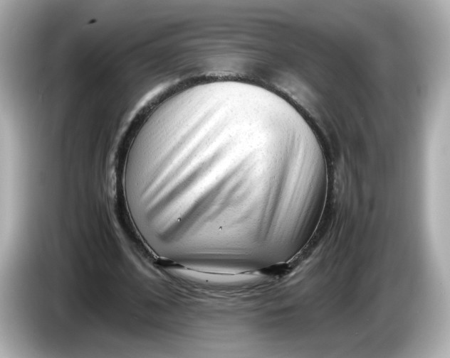 X0000086060584200704091229