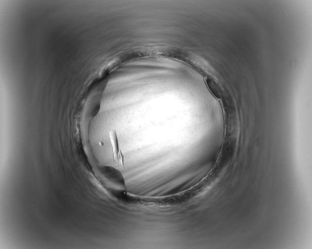 X0000086060585200704091229